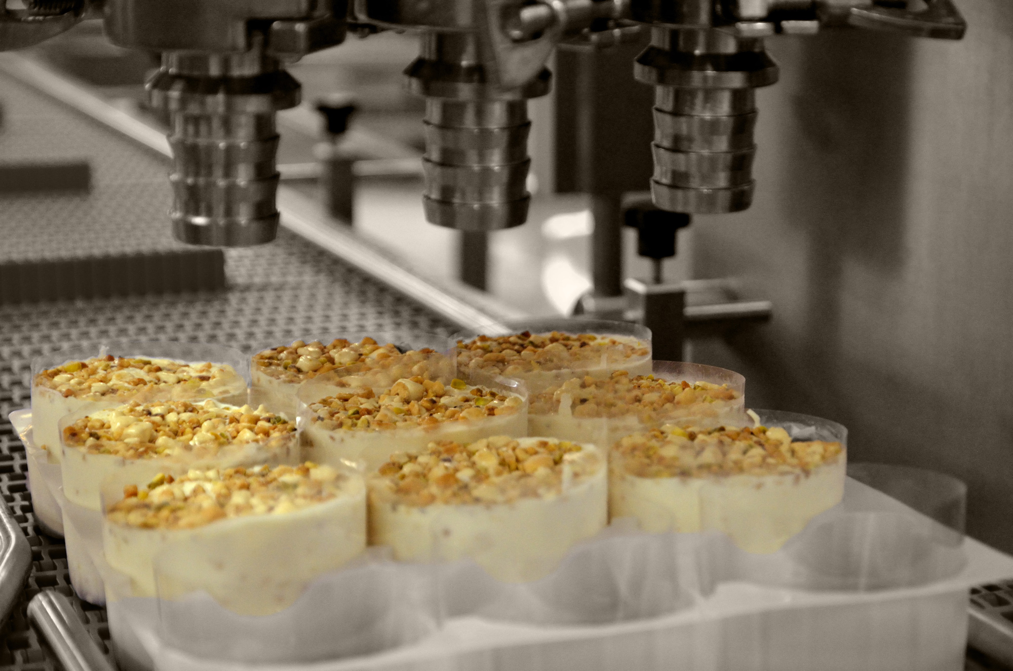 Photo Glaces de Lyon - desserts - spécialités individuelles - nougat - glace - crème - dessert - fabriqué en france